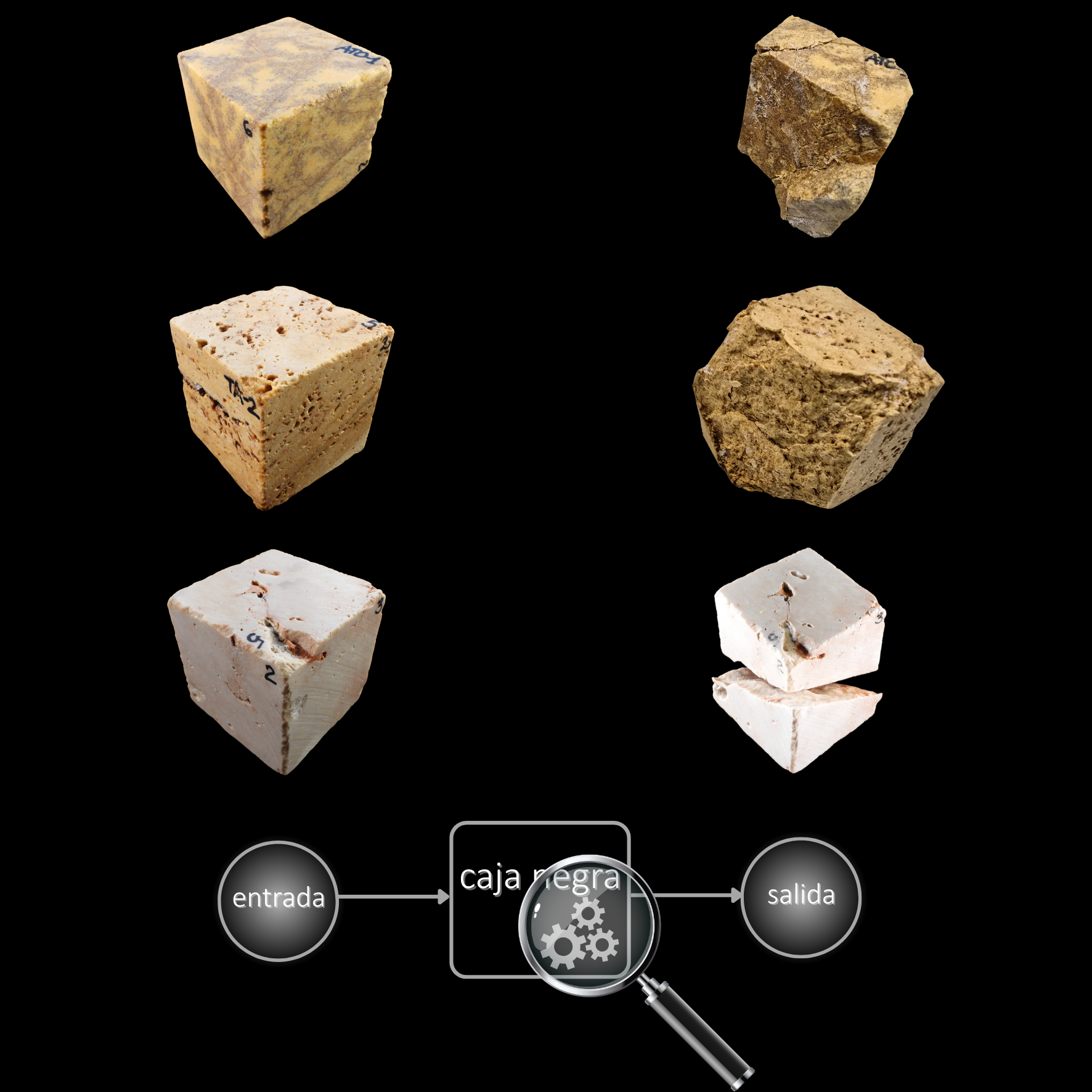 Materiales pétreos sometidos a ensayos de envejecimiento acelerado (resistencia a la cristalización de sales según la Norma UNE-EN 12370:2020) y a una arquitectura simplificada de una red neuronal artificial diseñada para predecir variables a partir de metadatos derivados de imágenes (Copyright: PAP-IGEO).